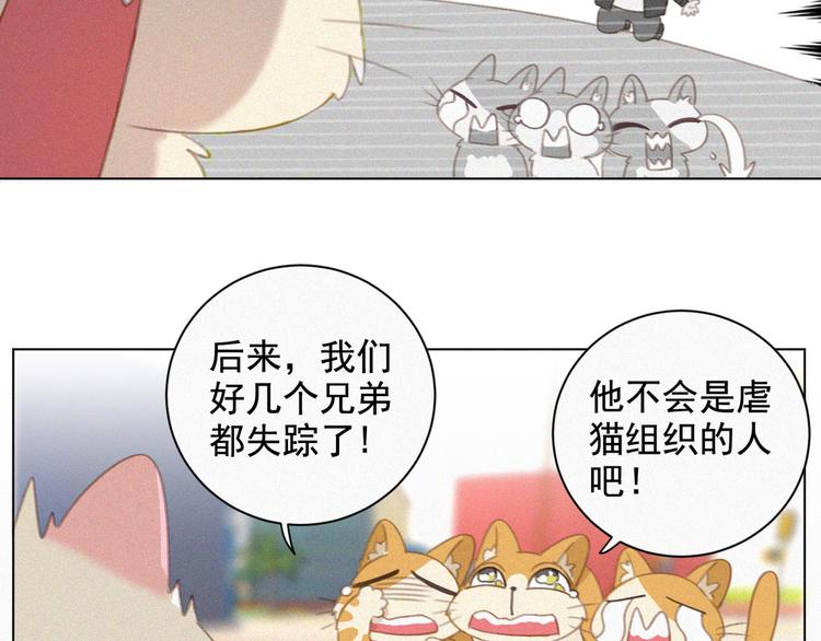 第33话 我的情敌是只猫？9