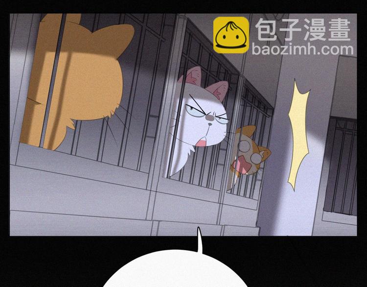 第36话 逃出生天17
