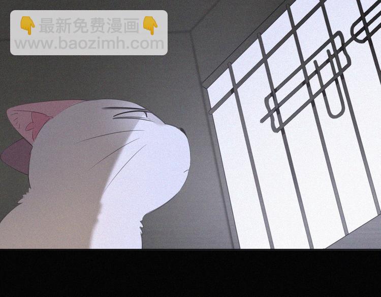 第36话 逃出生天19