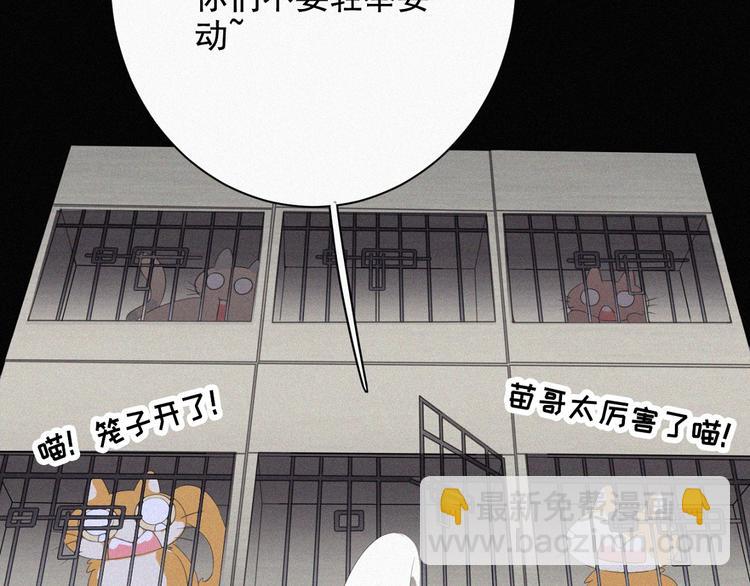 第36话 逃出生天22
