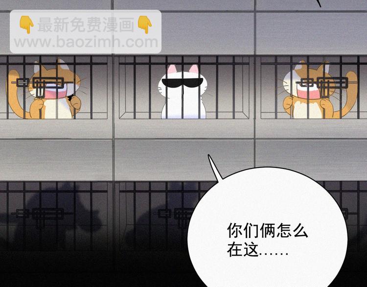 第36话 逃出生天7