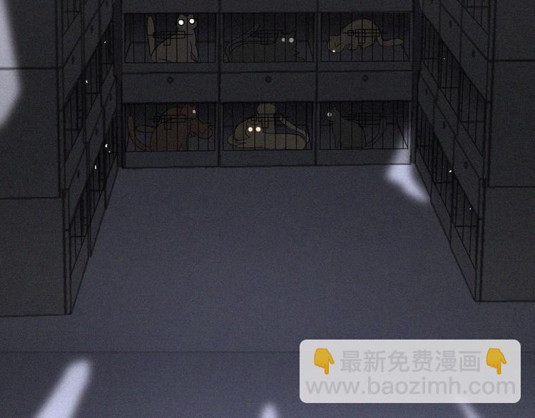 第36话 逃出生天82