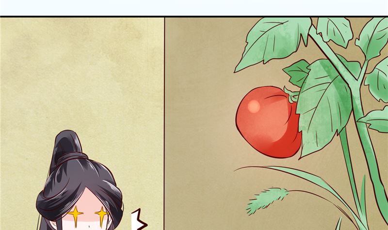 第87话 盐水蔬菜汤6