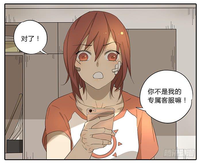 31.专属客服20