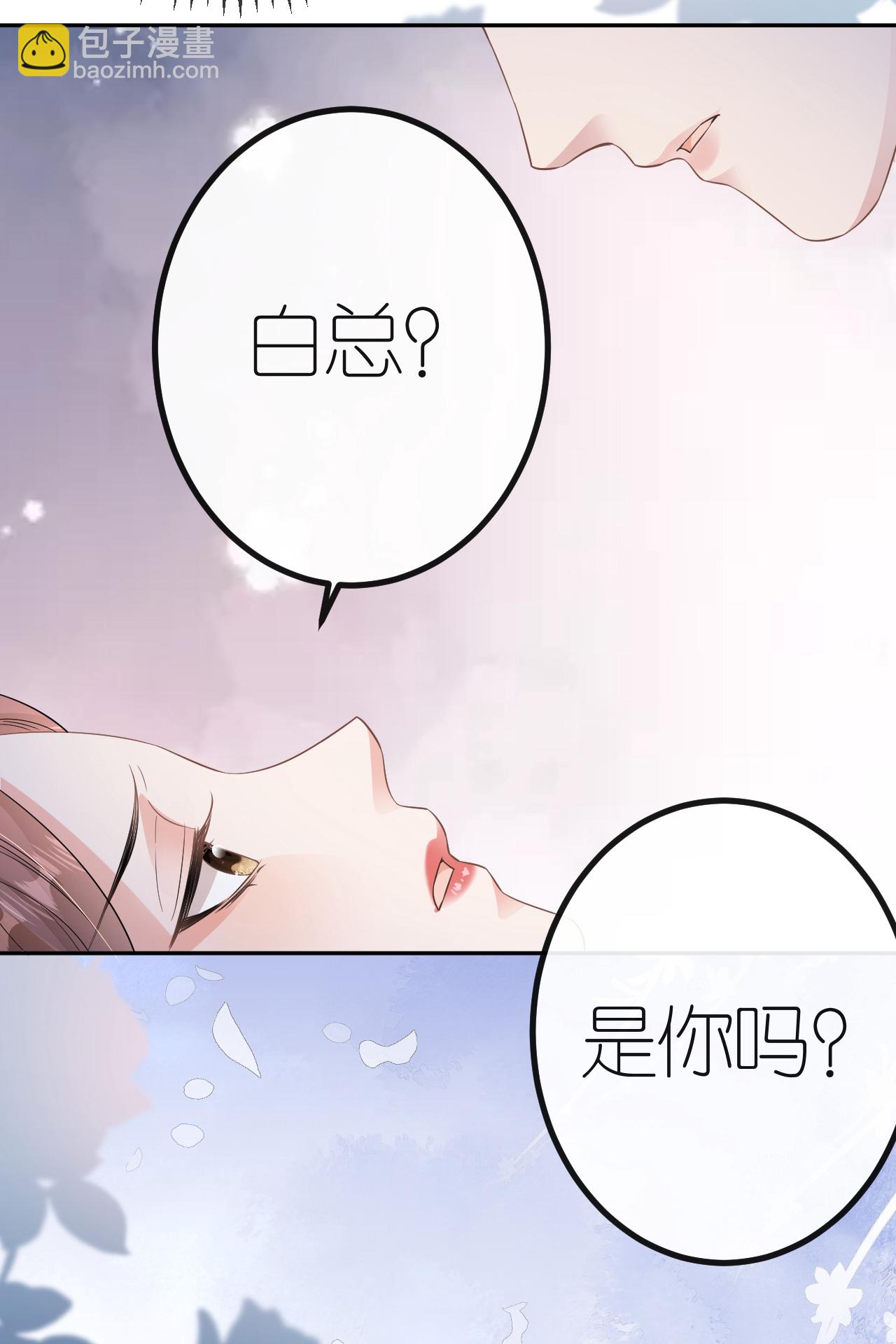 第74话 白总被算计4