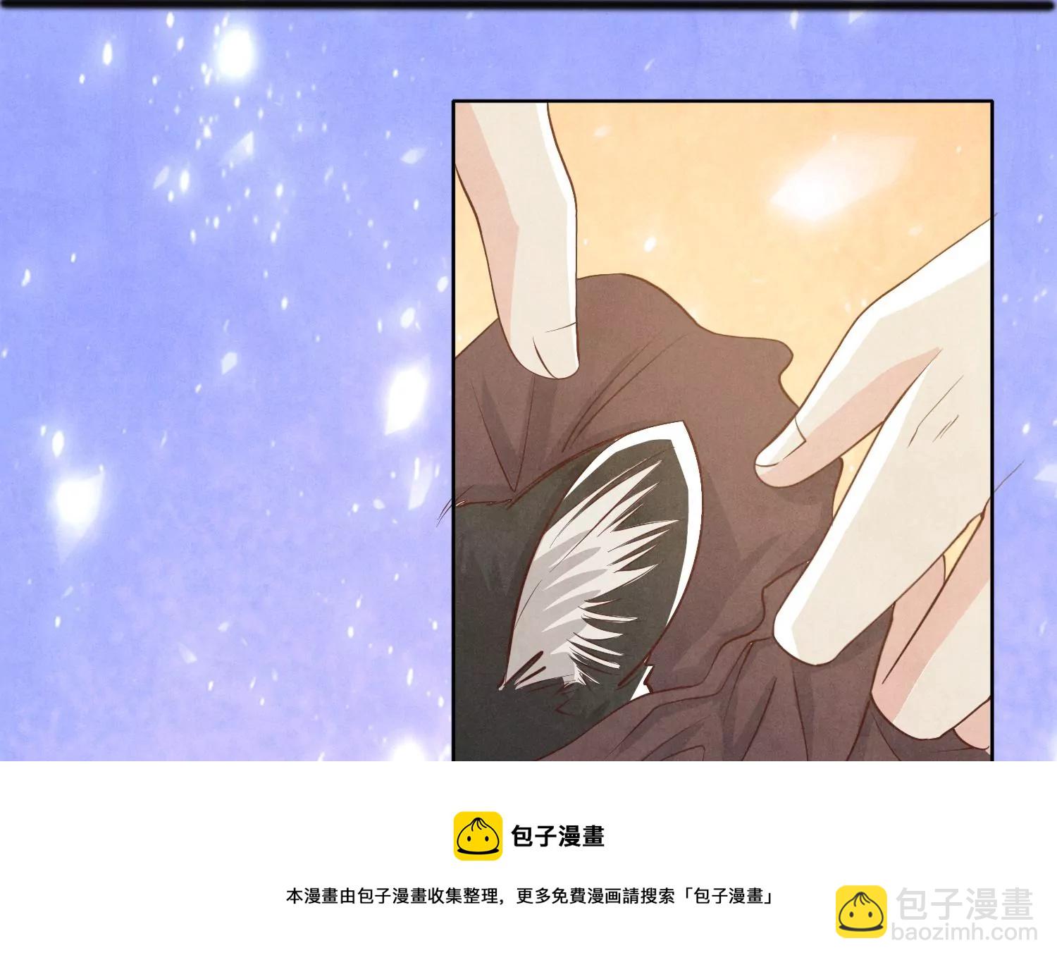 第18话 野猫4