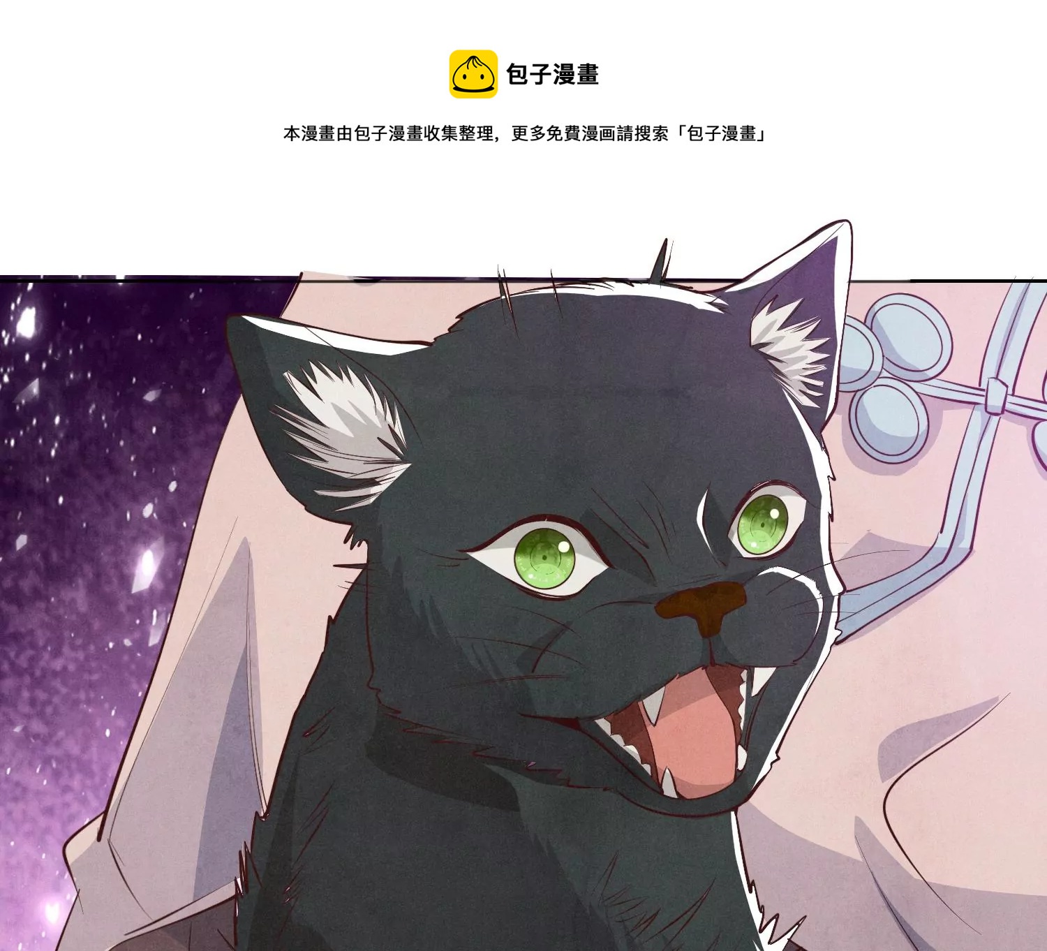 第18话 野猫8
