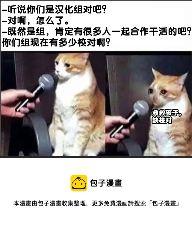 4只羊3