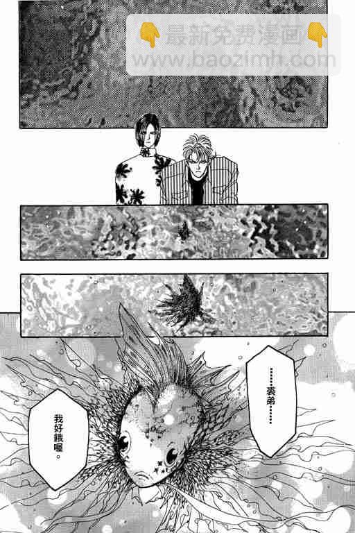 第4卷43