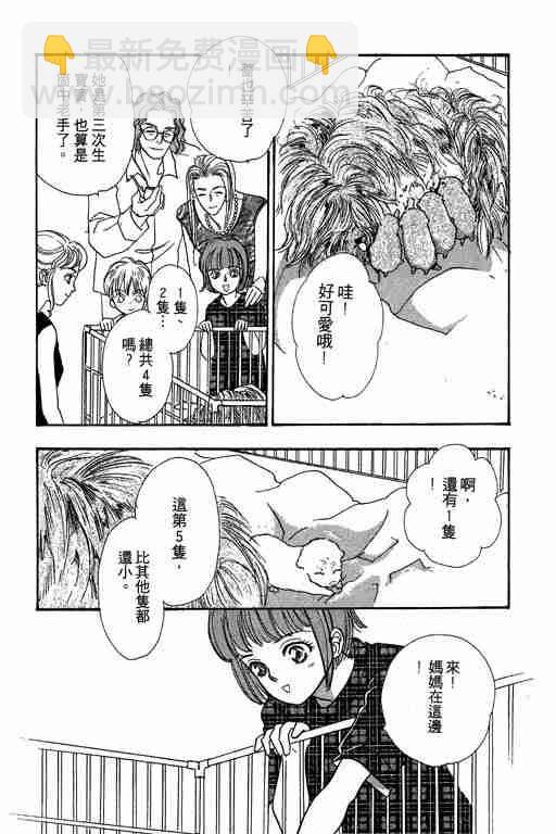 第6卷145