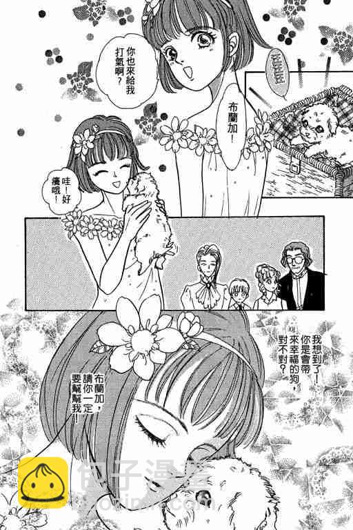 第6卷182
