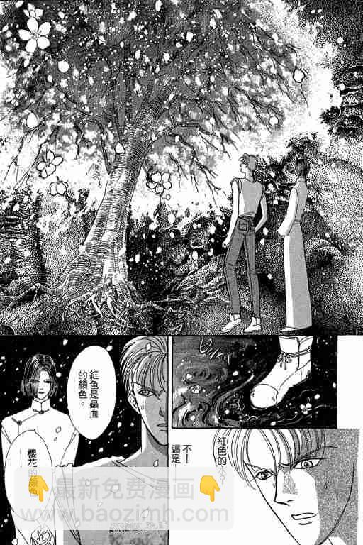 第6卷207