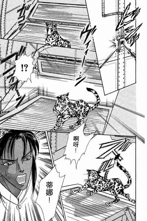 第6卷41