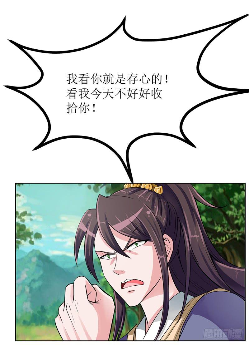 传说中的白岩草出现啦！16
