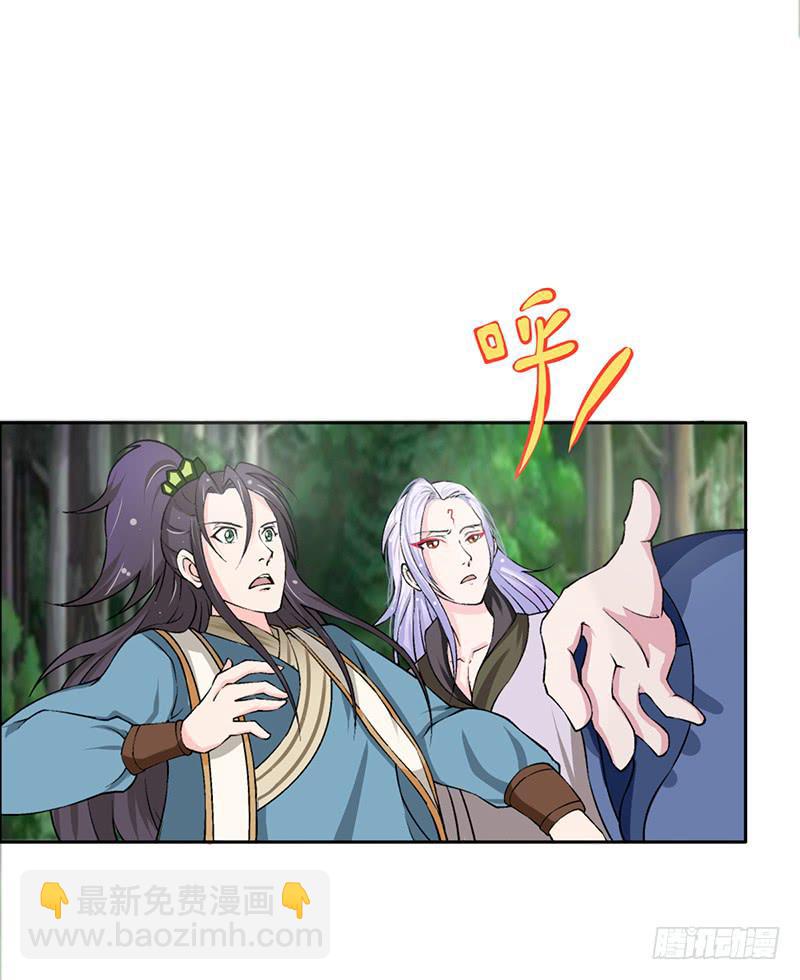 传说中的白岩草出现啦！2
