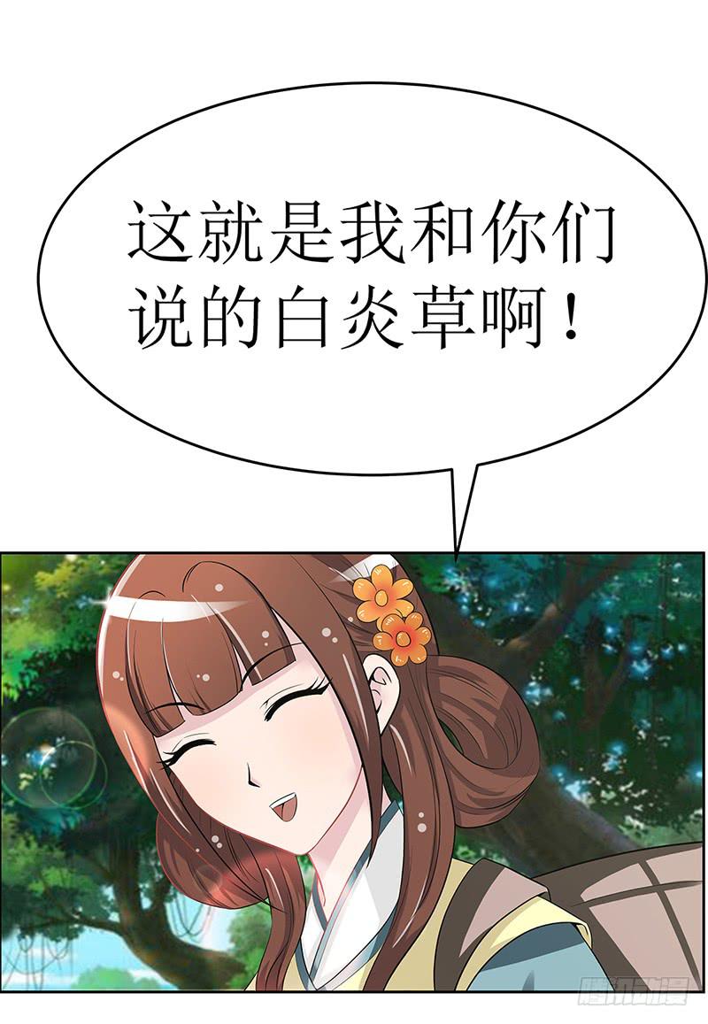 传说中的白岩草出现啦！33