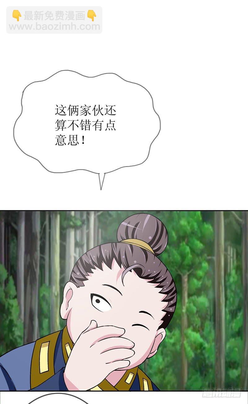传说中的白岩草出现啦！6