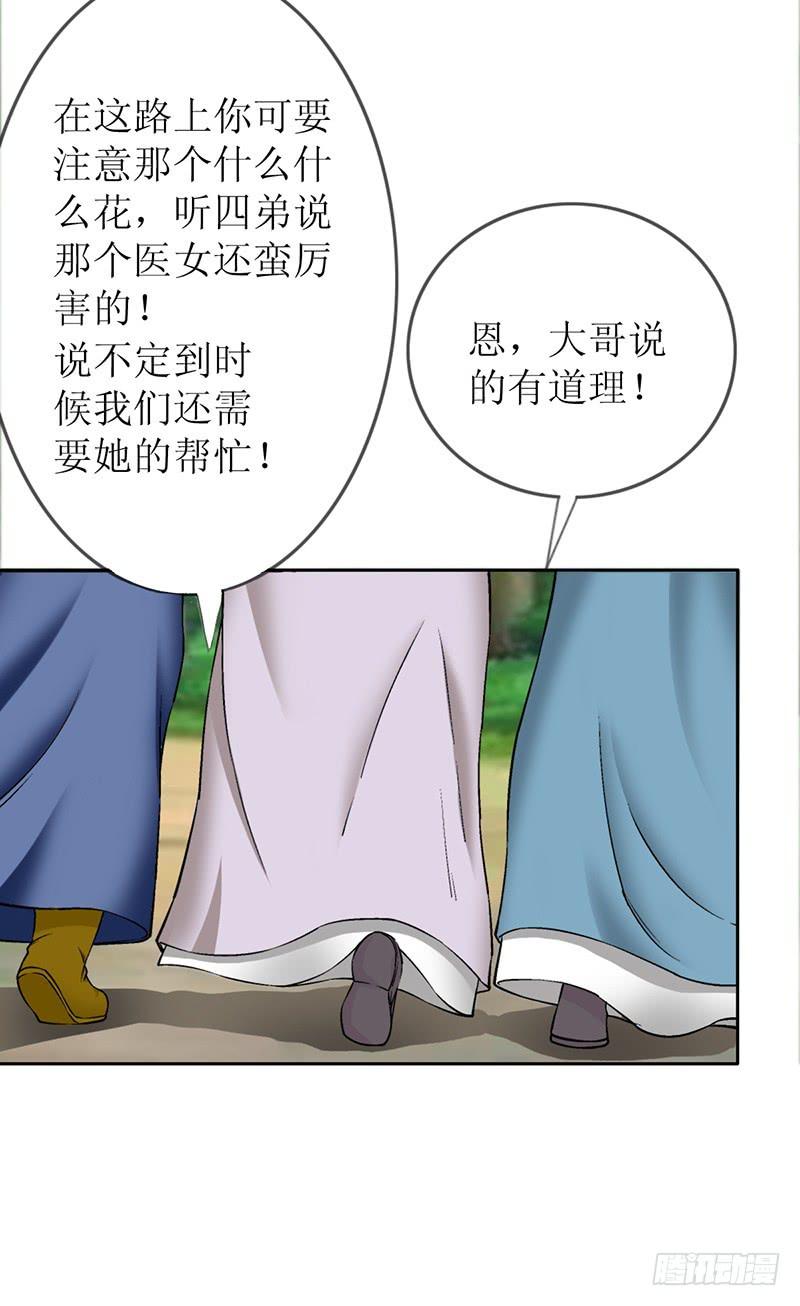 传说中的白岩草出现啦！7