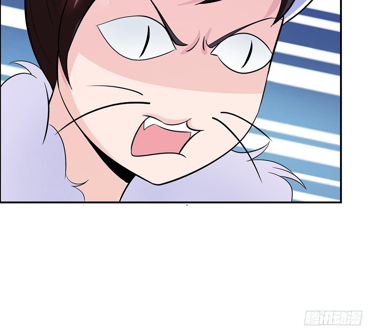 大哥被猫妖抓了？41