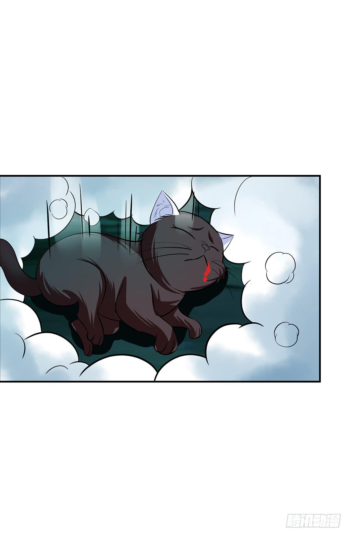 大哥被猫妖抓了？46