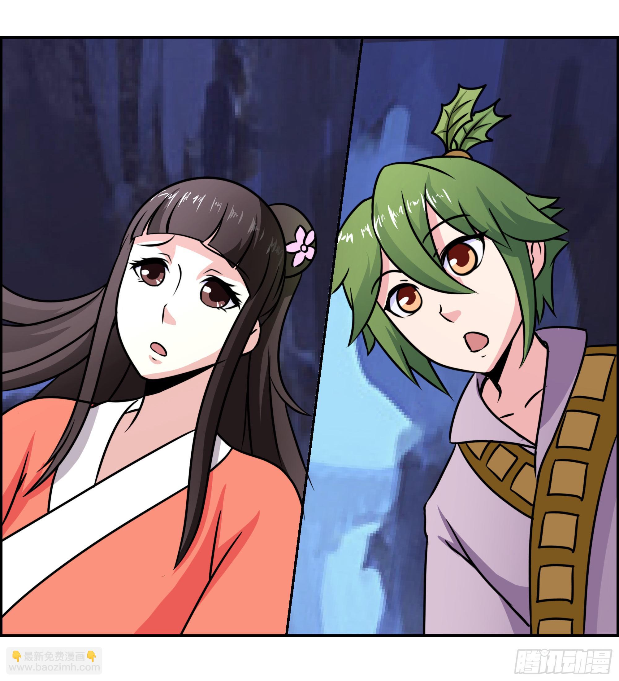 狐狸女王重伤岚帝28