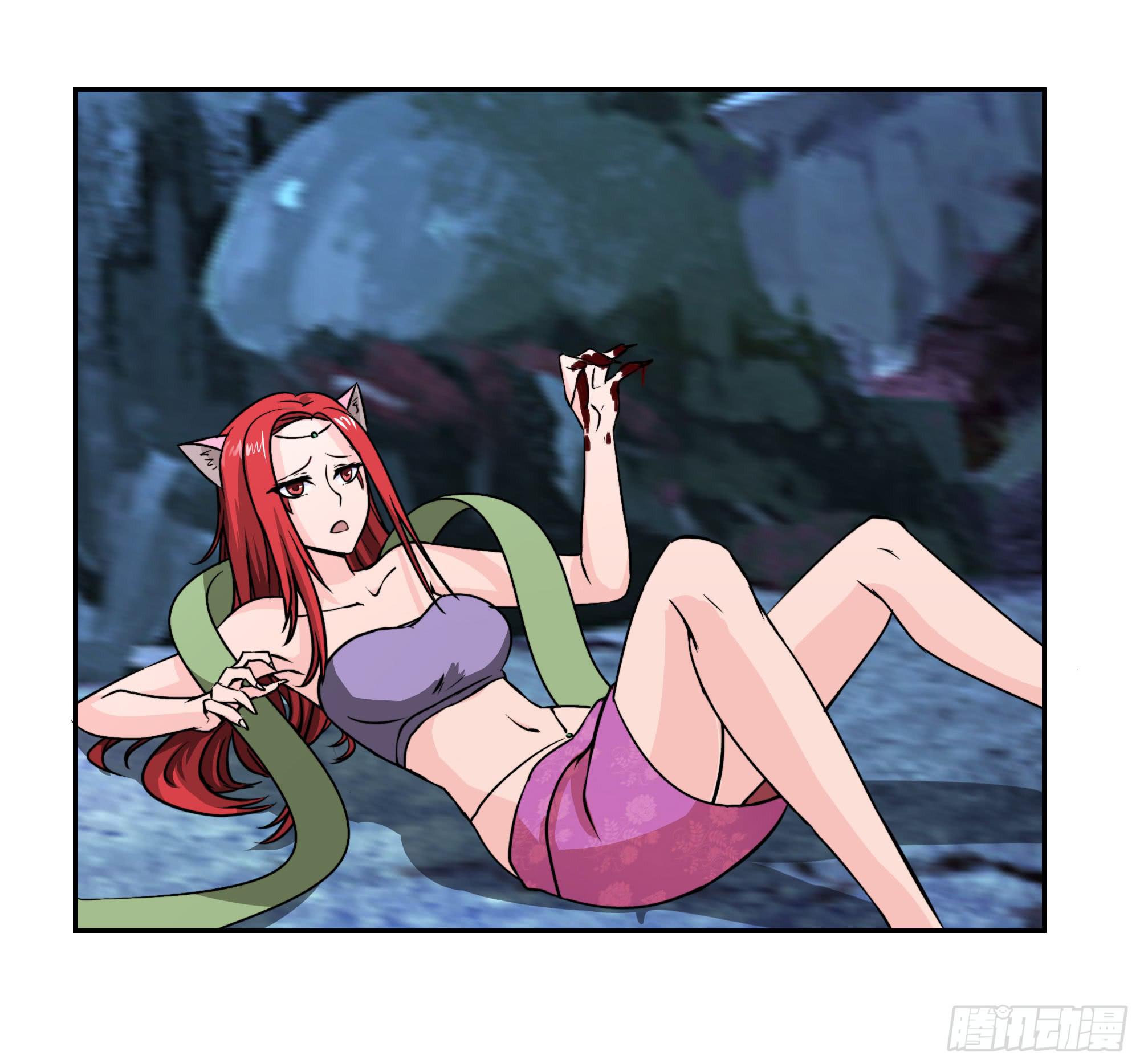 狐狸女王重伤岚帝41