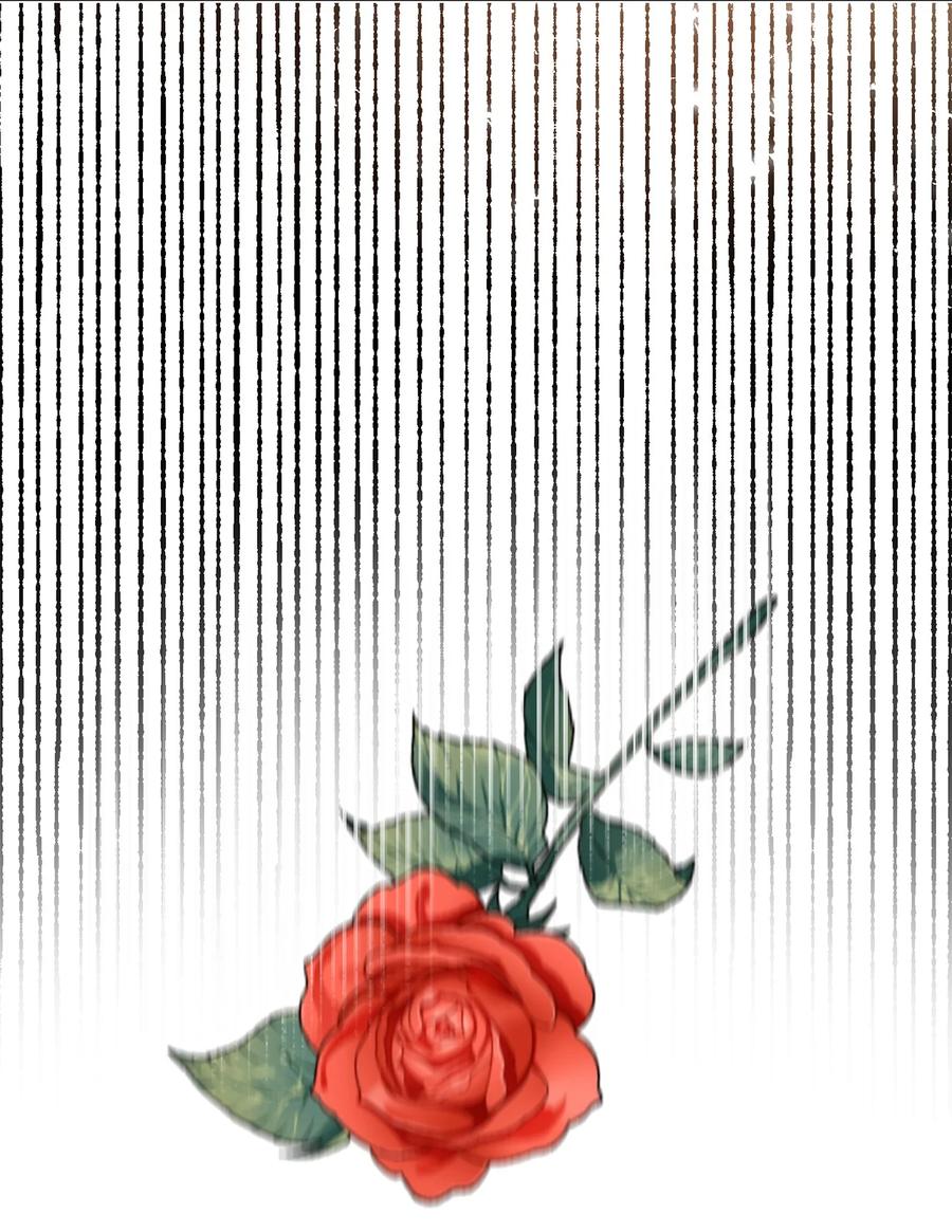 047 教皇的花园17