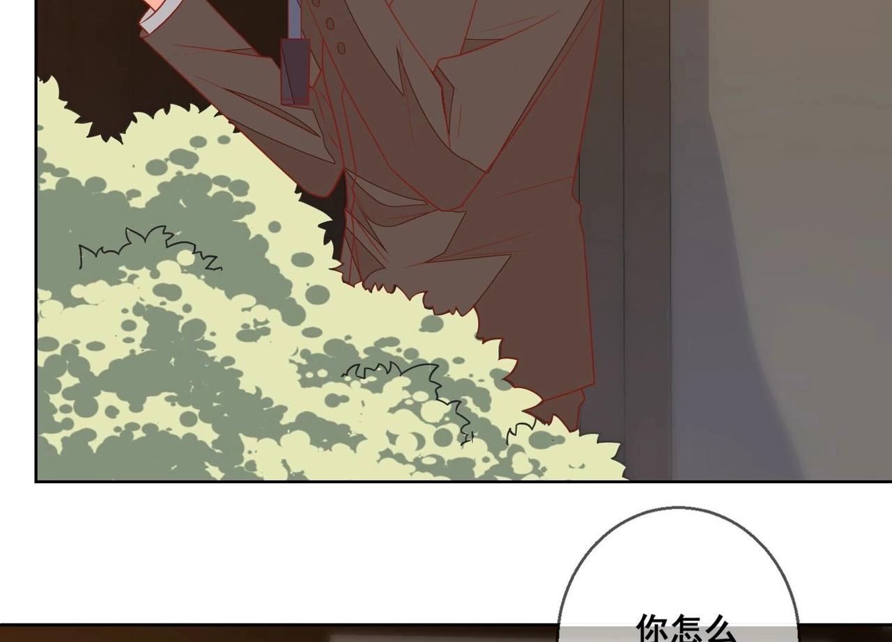 第117话 计划开始3