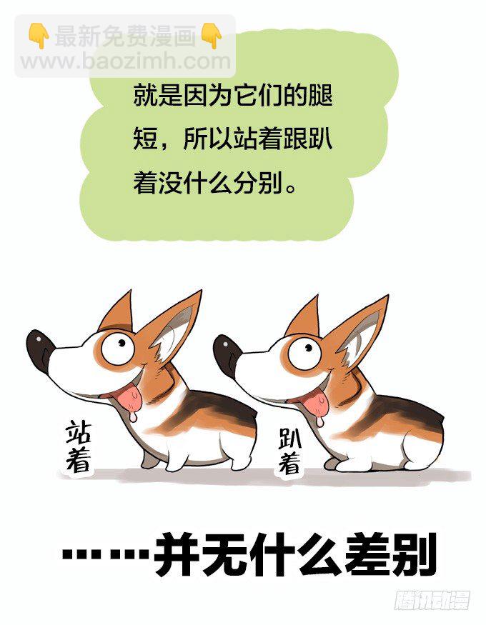暴风雨的预感29