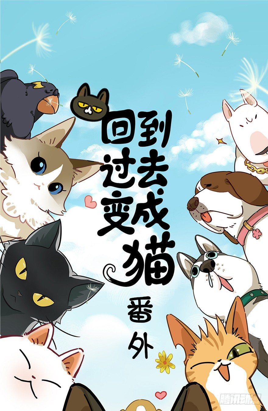 第17爪 猫生赢家（上）0
