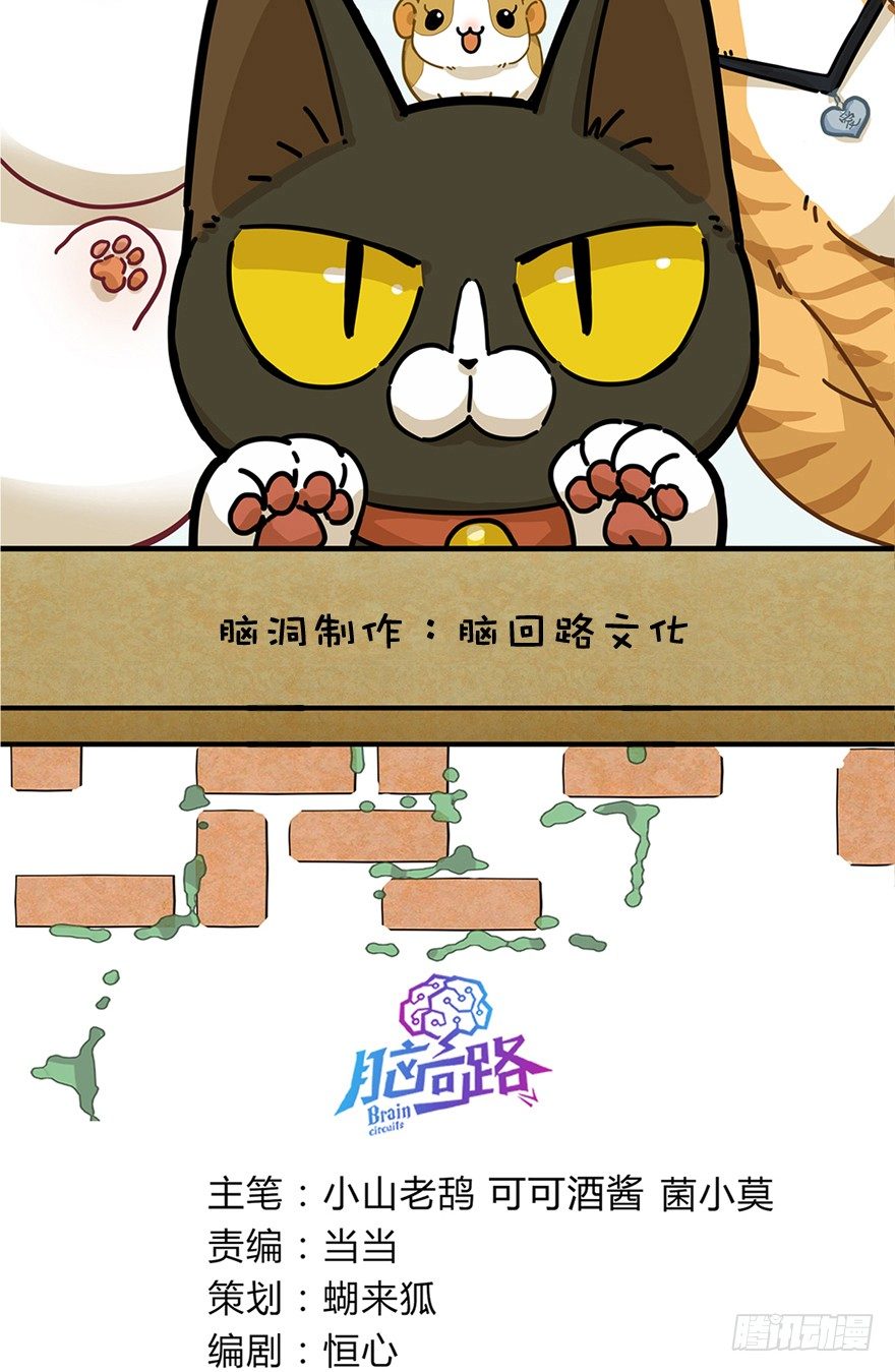第17爪 猫生赢家（上）1