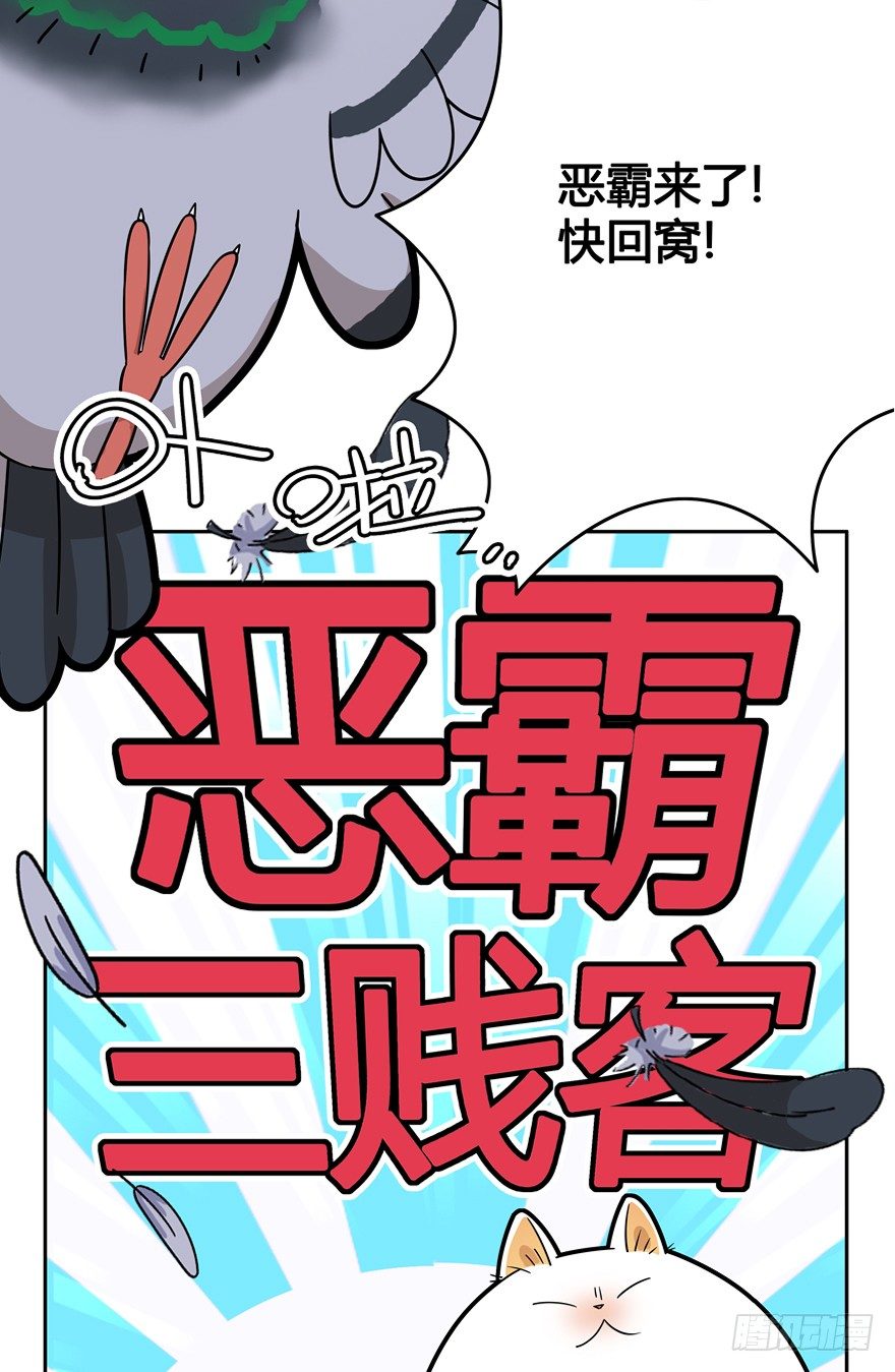 第17爪 猫生赢家（上）13