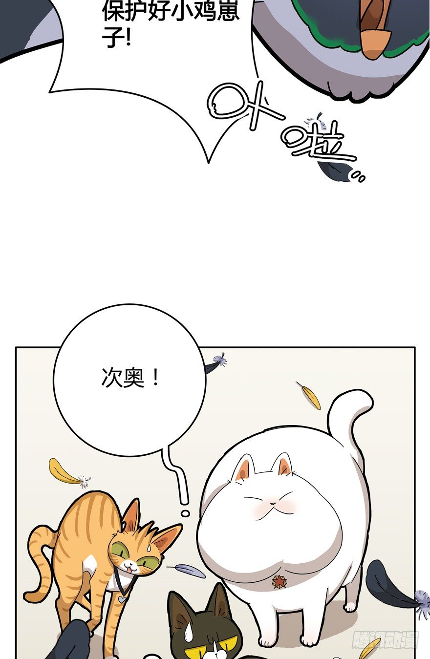 第17爪 猫生赢家（上）15