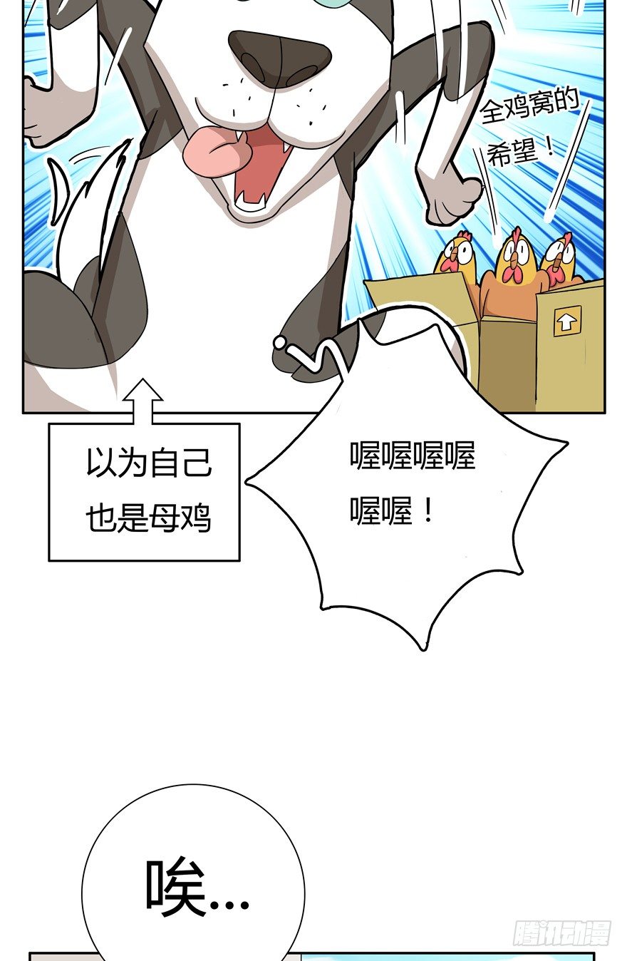 第17爪 猫生赢家（上）17