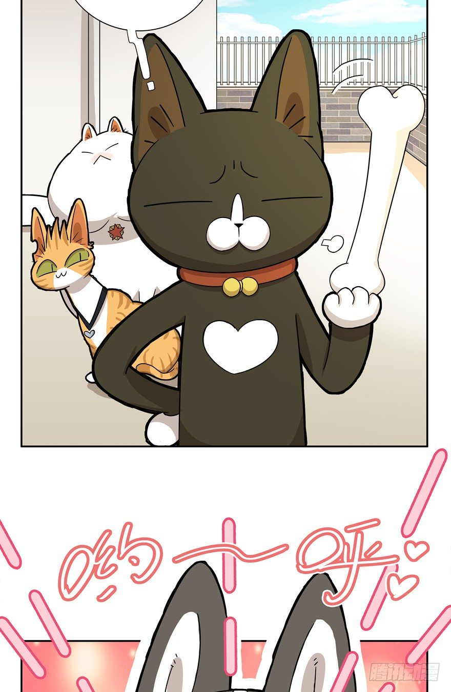 第17爪 猫生赢家（上）18