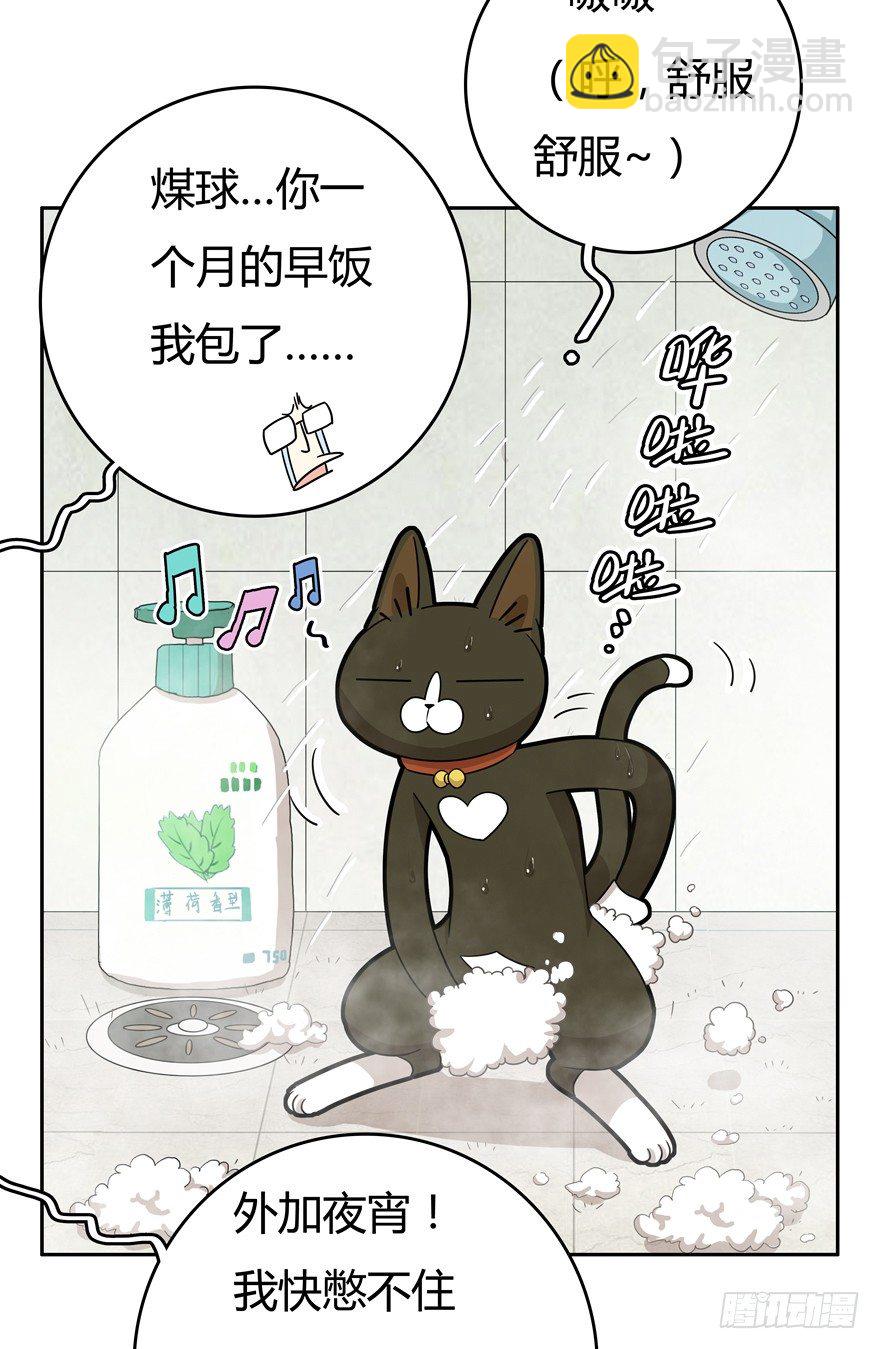 第17爪 猫生赢家（上）5