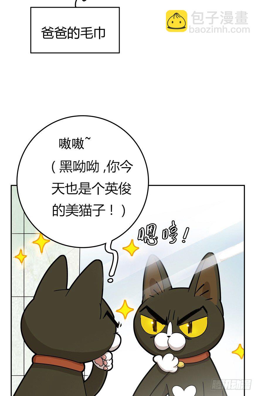 第17爪 猫生赢家（上）7