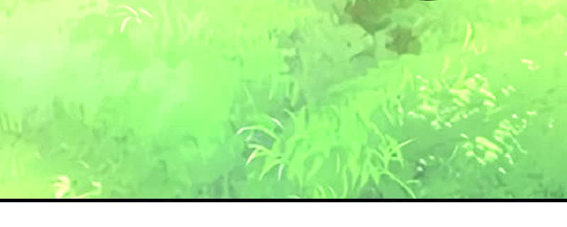 就这样，死了么？90