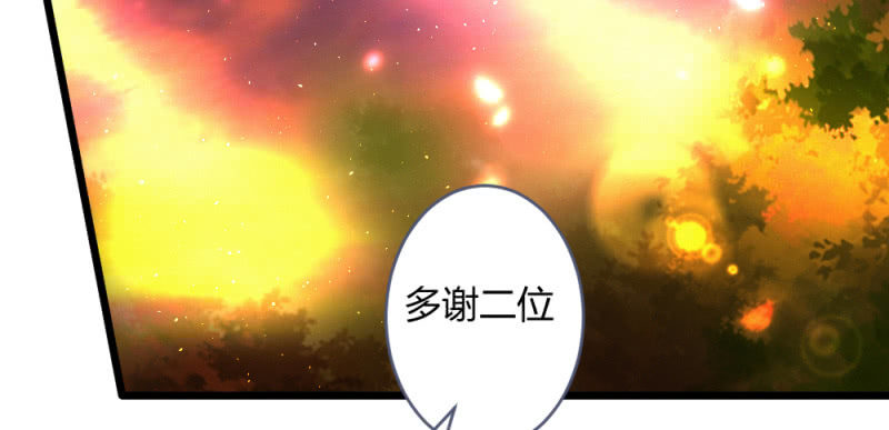 凌霄65