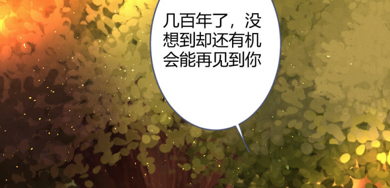凌霄77
