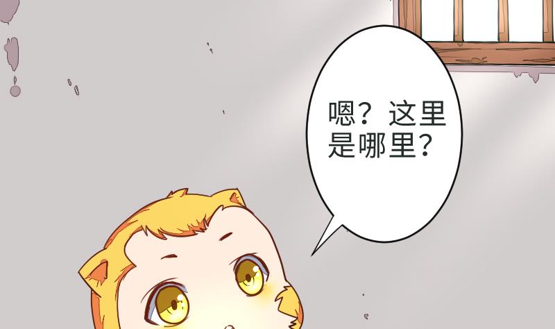 第二季 第1话 小乐“回来”了 下0