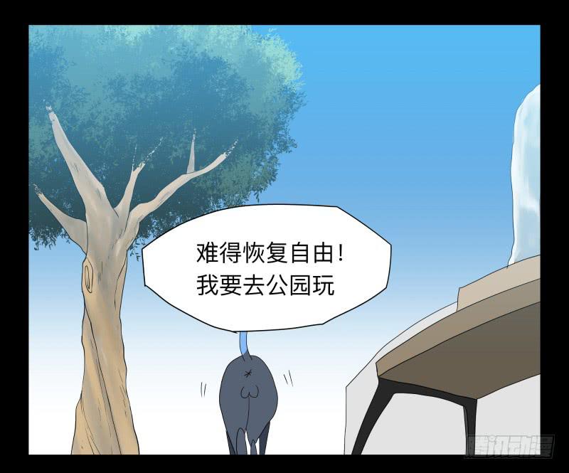 051-猫左犬右part110