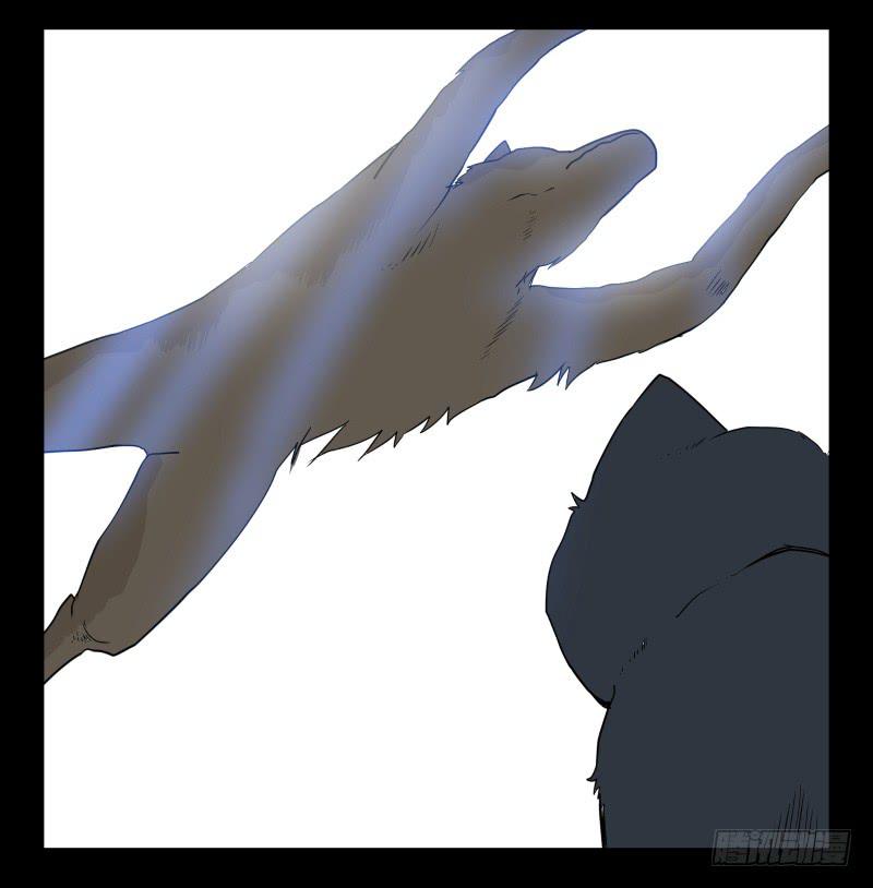 051-猫左犬右part112