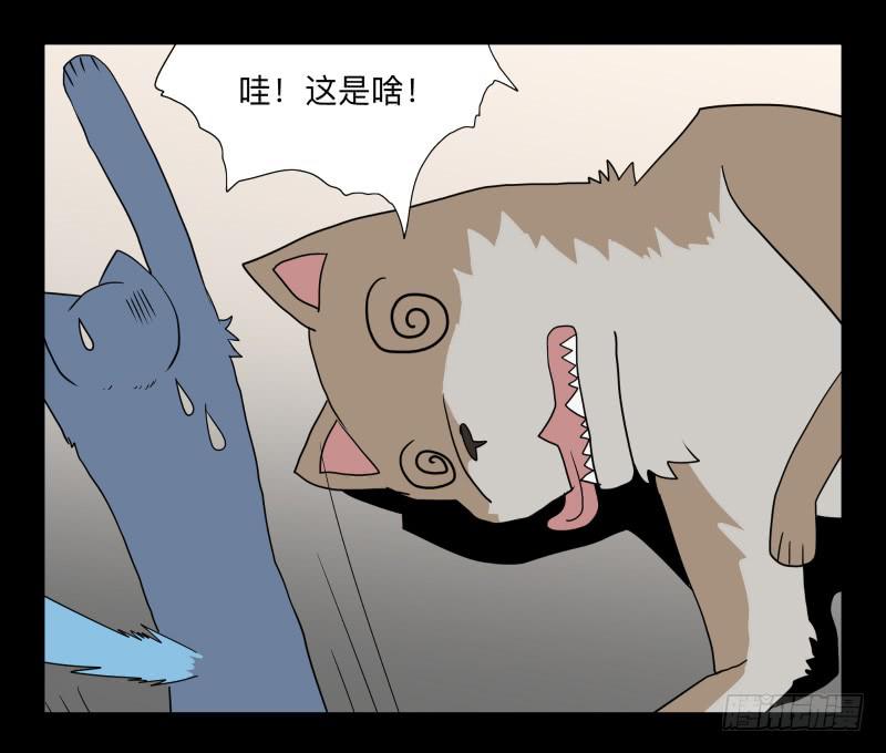 051-猫左犬右part114