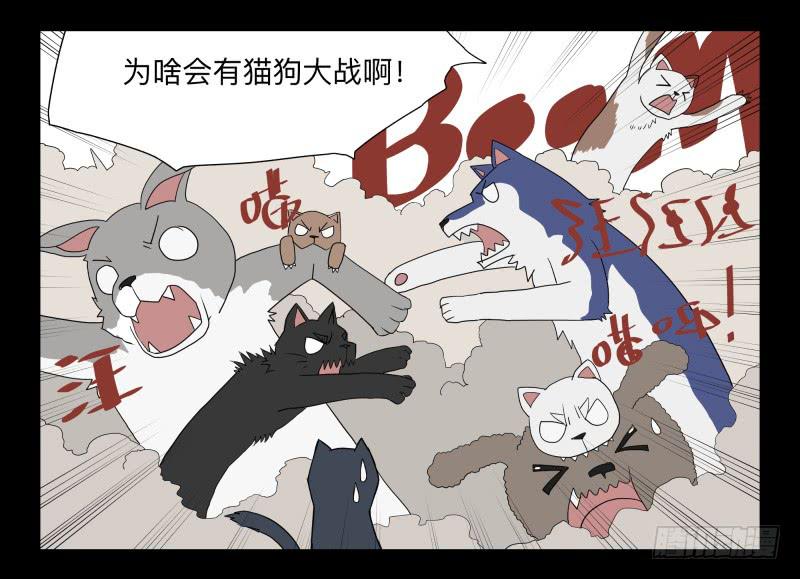 051-猫左犬右part115