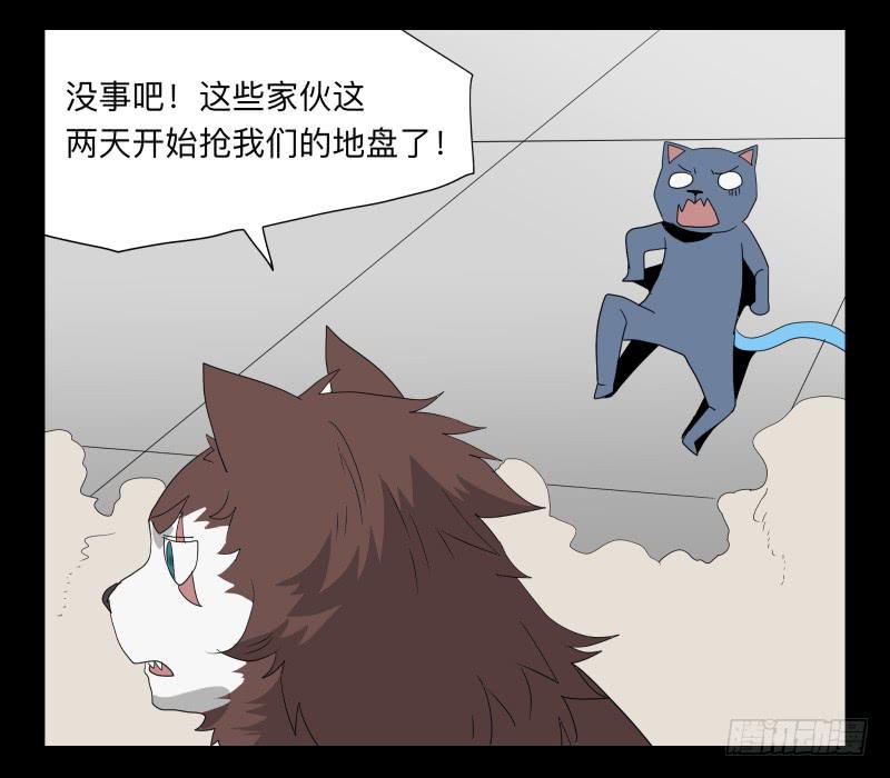 051-猫左犬右part118