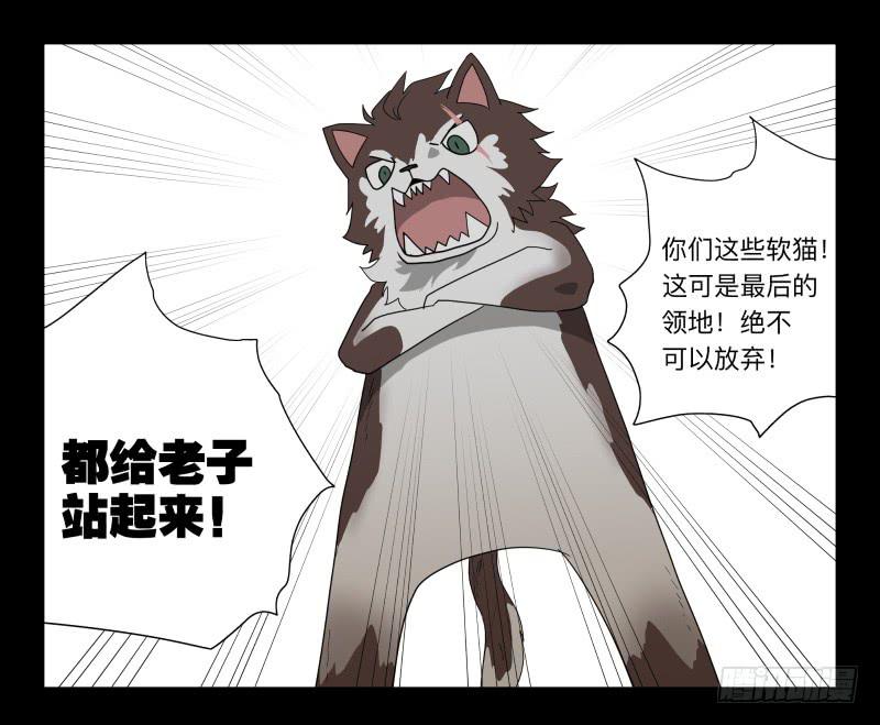 051-猫左犬右part120