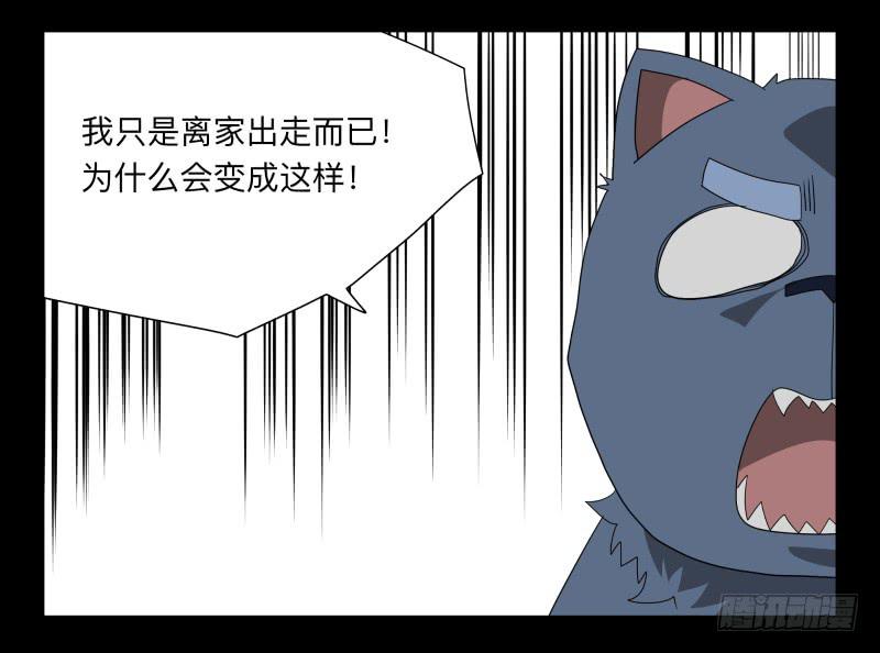 051-猫左犬右part121