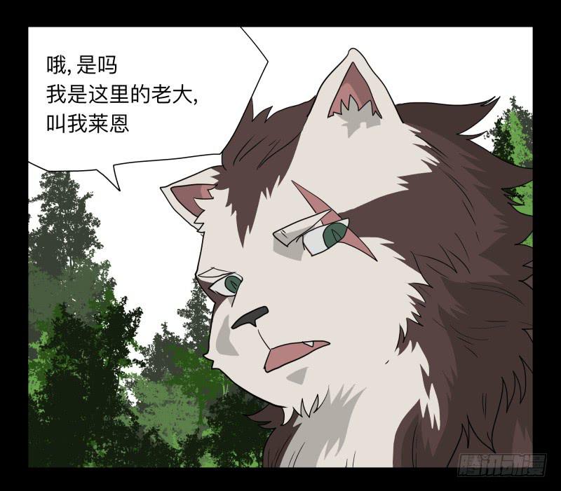 051-猫左犬右part124