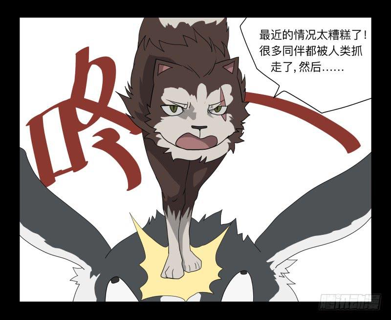 051-猫左犬右part128